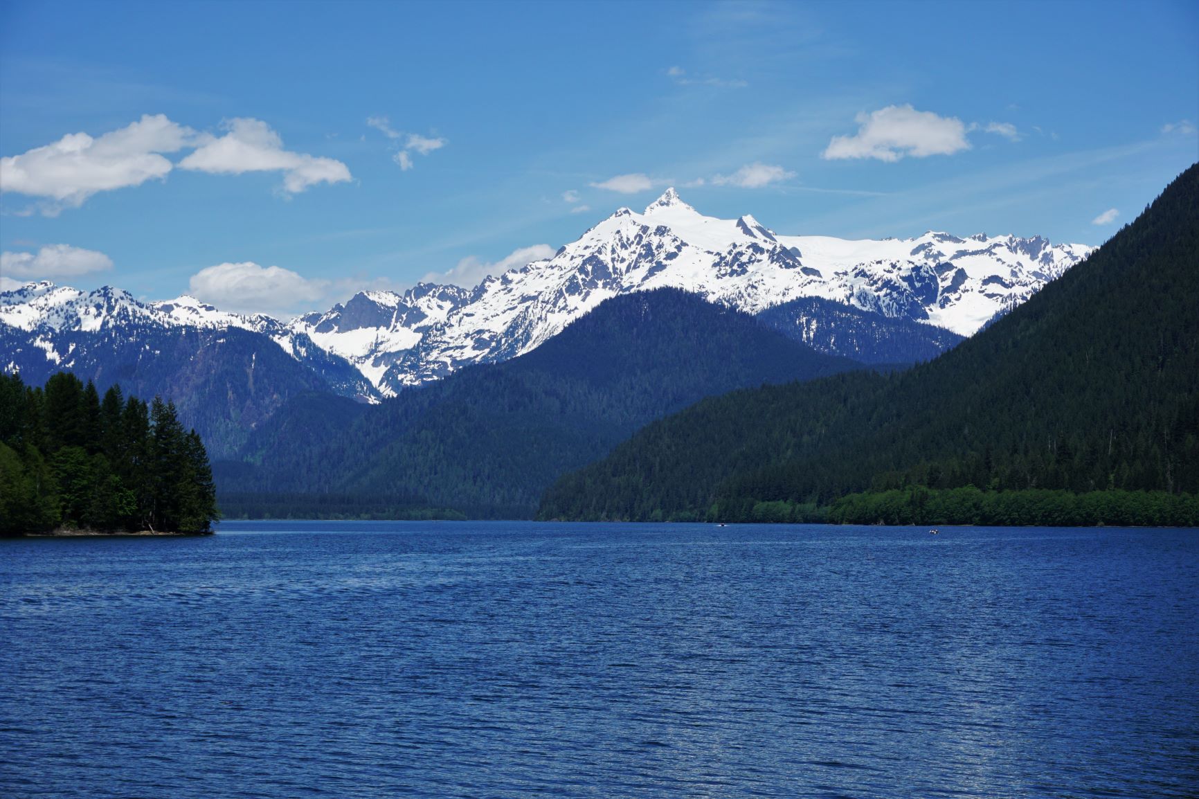 Baker Lake Maple Grove — Washington Trails Association